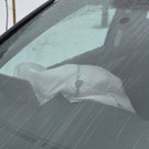 normal_28122012vuhofat_05_009aktivnews_5.jpg