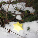 sternensuche 038.JPG