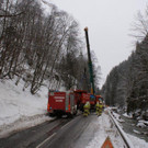 100MSDCF_ DSC02085.jpg