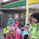 Sternensuche der Käferlekinder