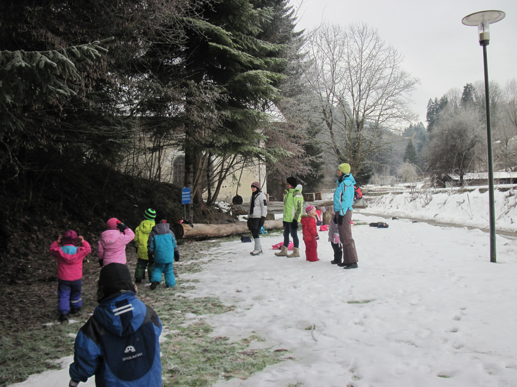 sternensuche 073_JPG-1356710344