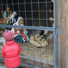 DSC00762_JPG-1356726915