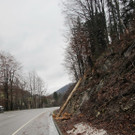 27122012baumde01001aktivnews_10.JPG