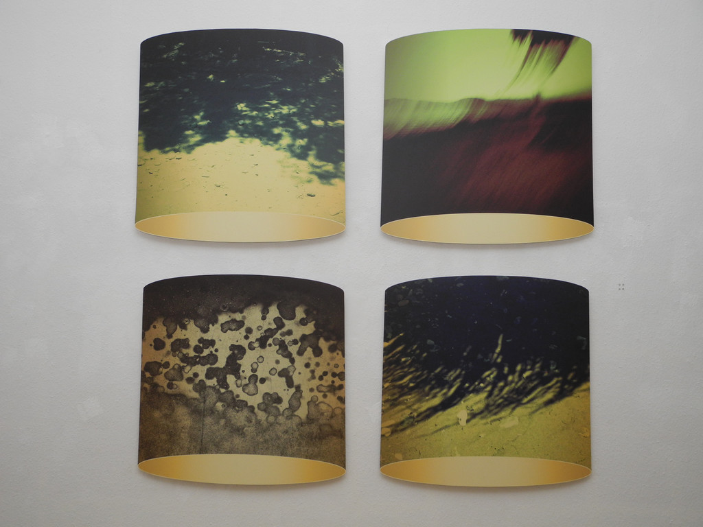 DSCN9007_JPG-1356776406