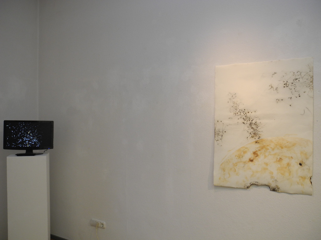 DSCN9012_JPG-1356776499