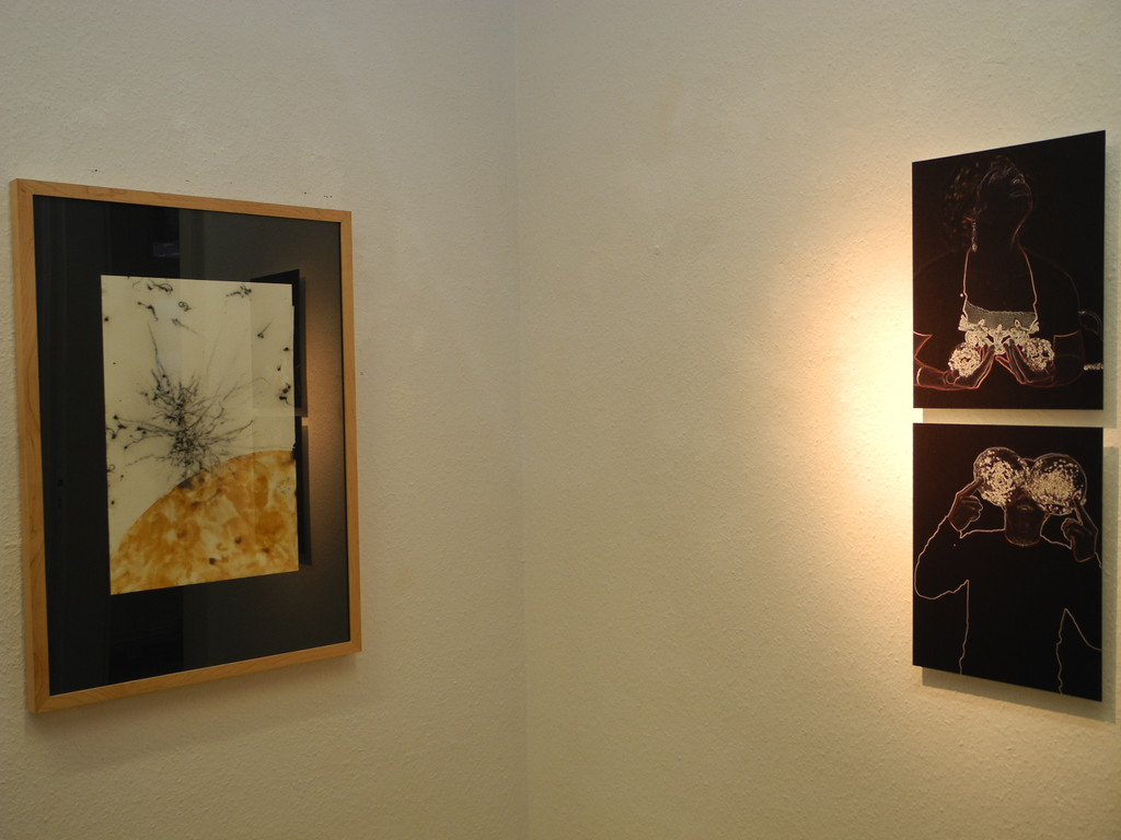 DSCN9013_JPG-1356776526