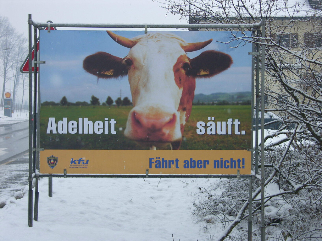 Adelheit 2009_JPG-1356778789