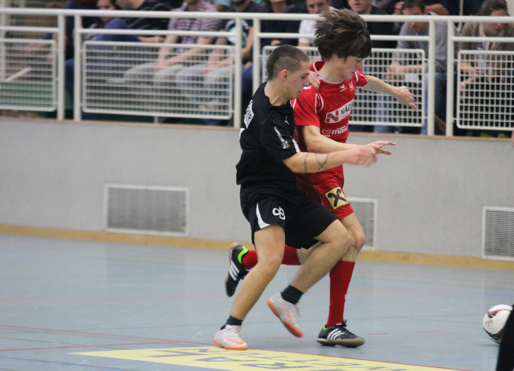IMG_6219_JPG-1356813873