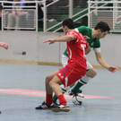 IMG_6109_JPG-1356816973