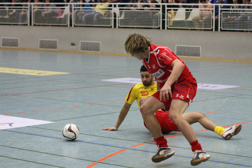 IMG_6274_JPG-1356817508