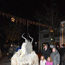29122012wildejagdat_05_009aktivnews_37.jpg