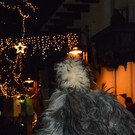 29122012wildejagdat_05_009aktivnews_33.jpg