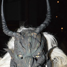 29122012wildejagdat_05_009aktivnews_25.jpg