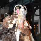 29122012wildejagdat_05_009aktivnews_2.jpg