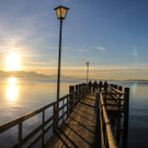 29122012tagamchiemseede_05_003aktivnews20.jpg