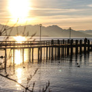 29122012tagamchiemseede_05_003aktivnews17.jpg