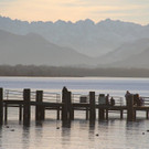 29122012tagamchiemseede_05_003aktivnews2.jpg