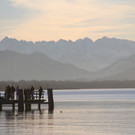 29122012tagamchiemseede_05_003aktivnews6.jpg