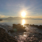 29122012tagamchiemseede_05_003aktivnews9.jpg