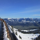 29122012rossfdeexex__9_.JPG