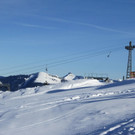 29122012rossfdeexex__15_.JPG