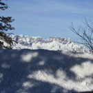 29122012rossfdeexex__4_.JPG