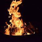DSC_9769.jpg