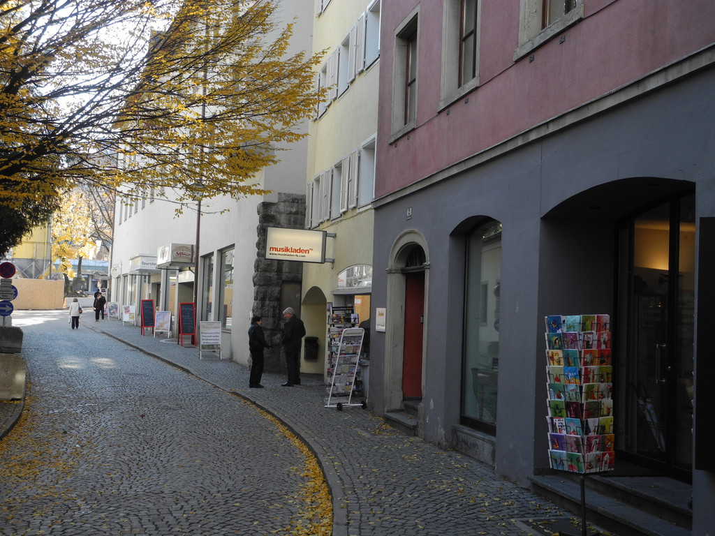 DSCN7524_JPG-1356965991