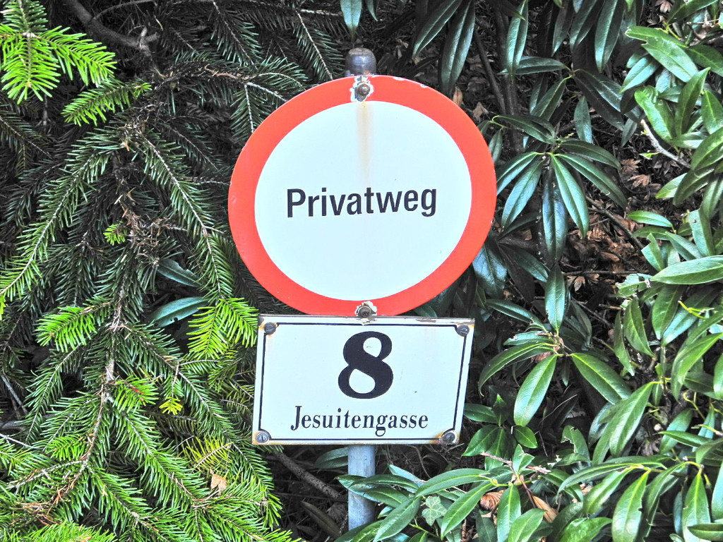 DSCN8925_JPG-1356966091