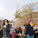 Sorgenpr__gel 31-12-2012 153_jpg-1356972627