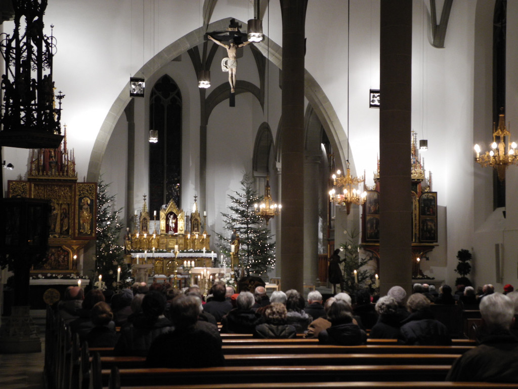 DSCN9096_JPG-1356978230