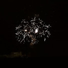 Silvester in Sbg