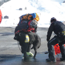 Lawinenungl__ck Bergung 150210 _32_.jpg
