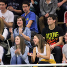 IMG_5155_jpg-1357038776