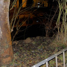 DSC_2164.jpg