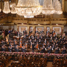 Bilder vom Neujahrskonzert 2013 I
