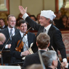 Bilder vom Neujahrskonzert 2013 II
