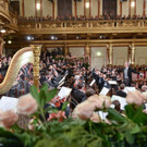 kubak_20130101141242_21.jpg