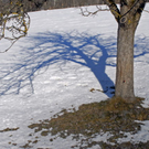 _DSC04670003.JPG