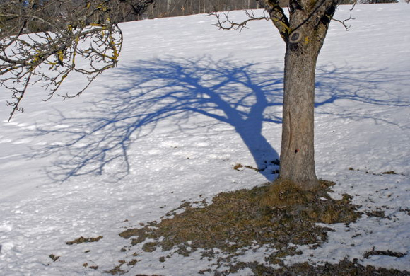 _DSC04670003.JPG