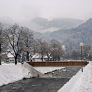 _DSC00500010.JPG