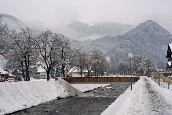 _DSC00500010.JPG