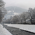 _DSC00510011.JPG