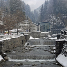_DSC01130003.JPG