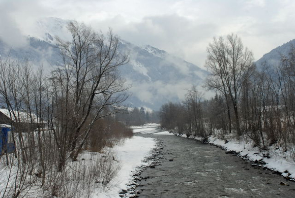 _DSC01330003.JPG
