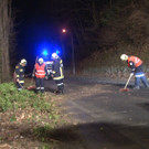 16-Jähriger krachte in Pitten mit Moped gegen umgestürzten Baum