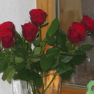 10_frauenfruehstueck 175.jpg
