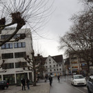 DSCN3027_JPG-1357293920