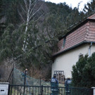 DSC_0007.JPG