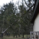 DSC_0016.JPG